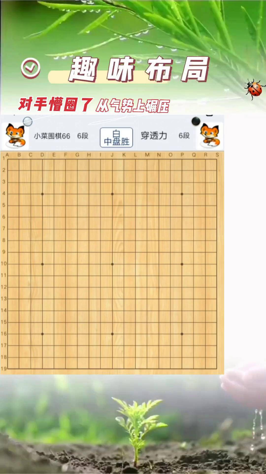单机围棋手机版下载(单机围棋手机版下载免费版)-第5张图片-QuickQ官网
