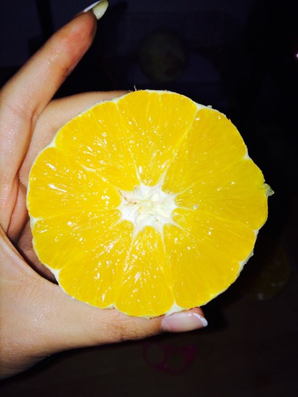 橙子遥控器手机版(小橙万能遥控器客服)-第4张图片-QuickQ官网