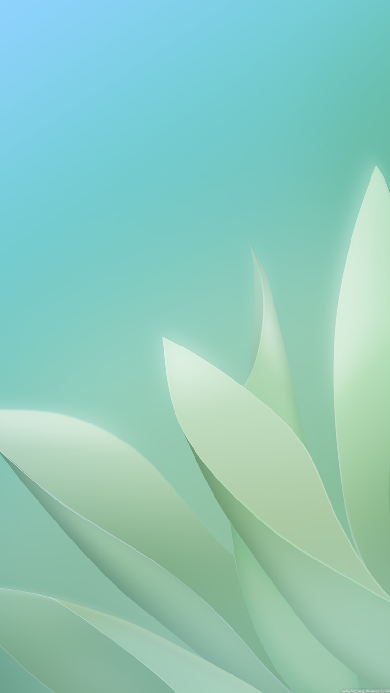 网信通手机版下载(网信下载app下载)-第2张图片-QuickQ官网