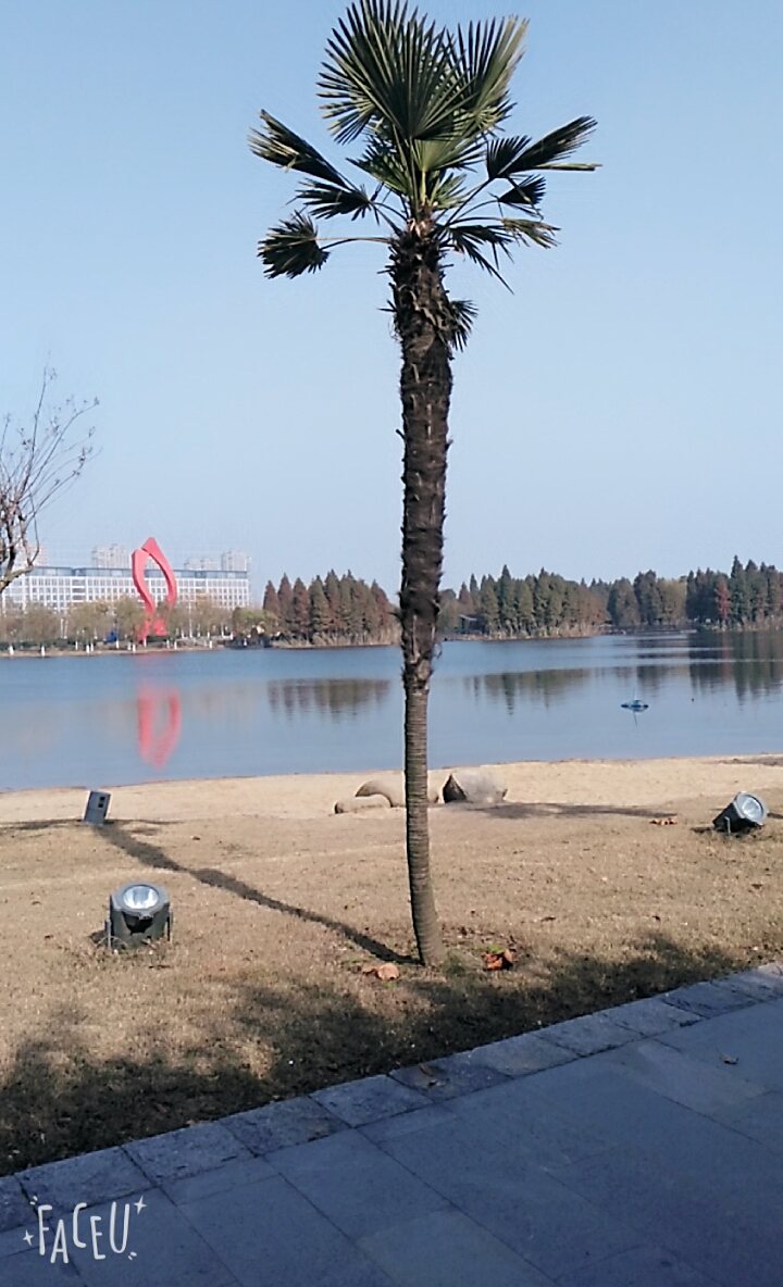 新靖江论坛手机版(新靖江论坛招聘启事)