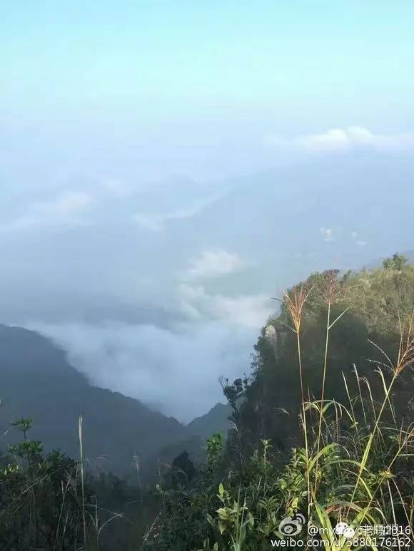 广西时空网手机版(广西南宁时空网首页)-第3张图片-QuickQ官网