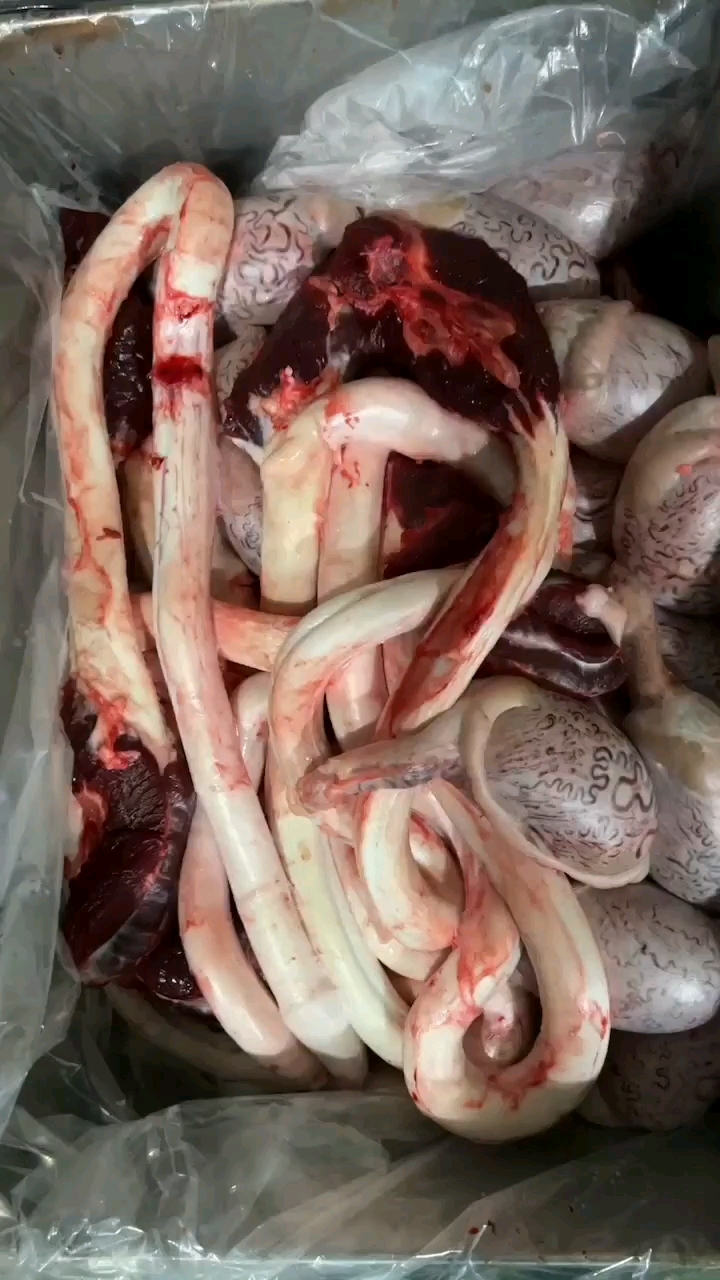 牛宝手机版官网登录(币牛牛app官网)-第5张图片-QuickQ官网 牛宝手机版官网登录(币牛牛app官网)-第5张图片-QuickQ官网