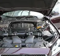 苹果版xj(苹果版下载国家兽药APP)-第5张图片-QuickQ官网