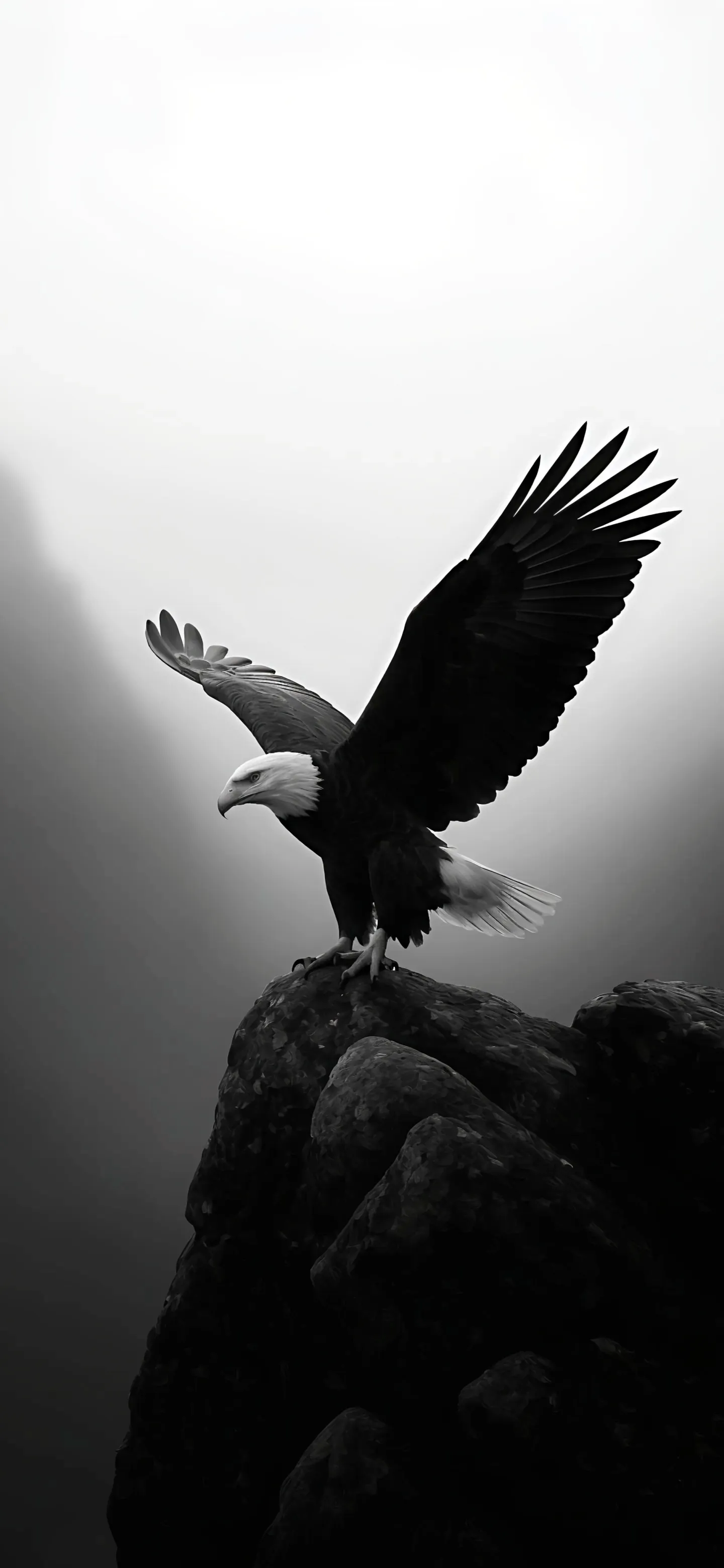 苹果手机全屏版(苹果全屏手机使用方法)-第5张图片-QuickQ官网